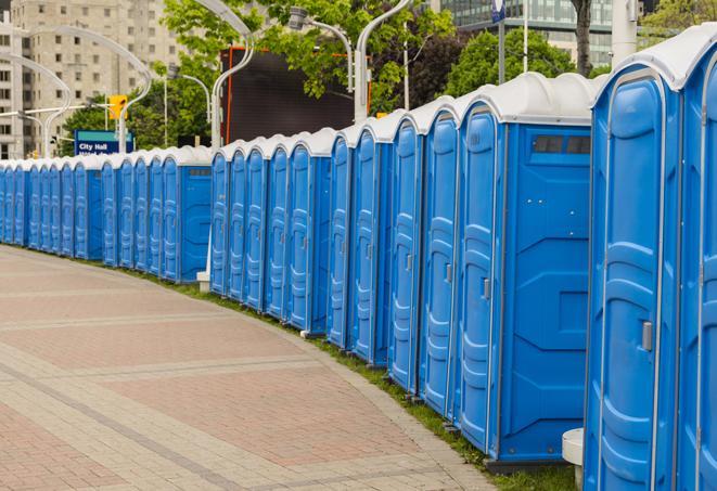 portable restrooms with sink and hand sanitizer stations, available at a festival in Fredericksburg, VA